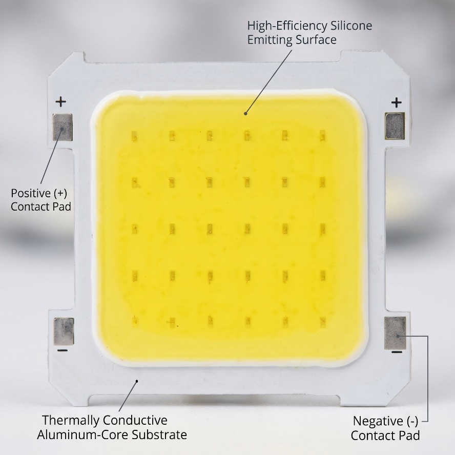 Lâmpada LED COB de 3V com 6 Co - Colour Changing Bulb avaliação e preço